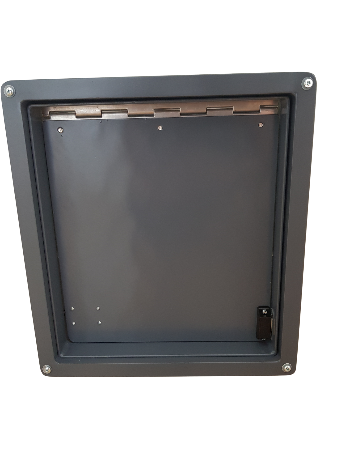 Dog Door - Medium
